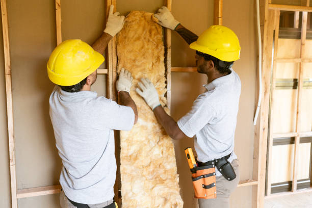 Best Eco-Friendly Insulation Solutions  in Soh Jordan, UT